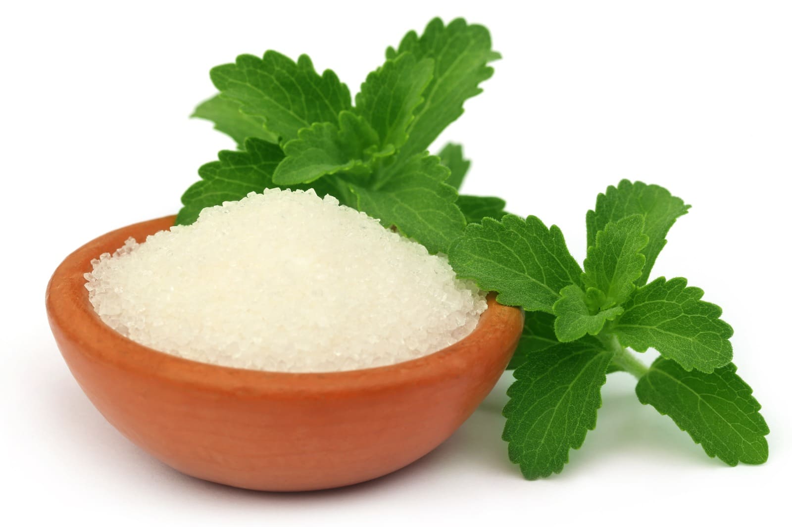 maklon collagen